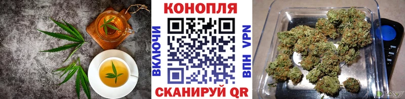 Canna-Cookies марихуана  Купить закладки  Краснозаводск 