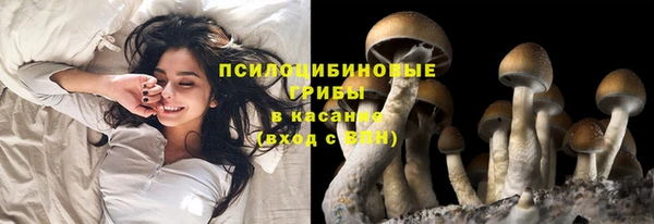 прущий лед Заволжье
