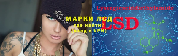 стафф Заводоуковск