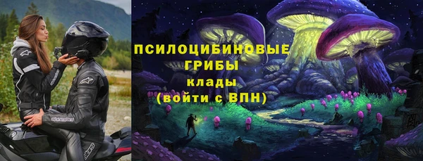 стафф Заводоуковск