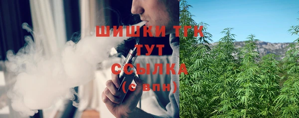 стафф Заводоуковск