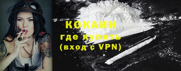 стафф Заводоуковск