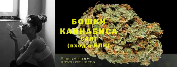 стафф Заводоуковск